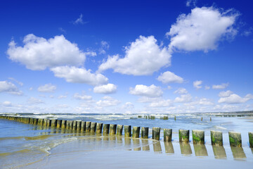 Fototapeta na wymiar Sea landscape, row of wooden piles on a sandy beach