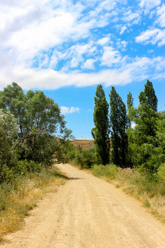 Beautiful pastoral view with a dirth road, green tall trees, clouds and blue sky. Selective focus.