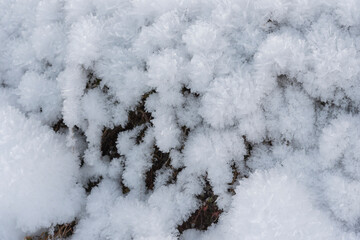 Detail view of  frozen snow