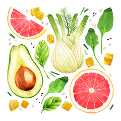 Watercolor isolated set of fresh vegetables and fruits for salad on white background: fennel, avocado, grapefruit, spinach, sorrel