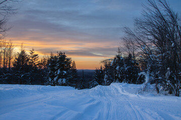 Orange sunset sky over a snowy winter forest in polar Sweden