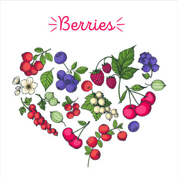 Set of berries in the form of heart. Berries hand drawn vector illustration. Vector illustration.