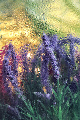 flowers behind wet glass