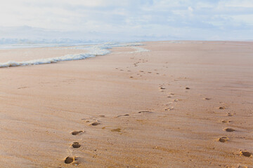 Atlantic ocean coast Portugal Nazare. Coastline, wave and foam. Escape and slow life concept. Cinematic marine wallpaper, nature landscape background. Scenic picture