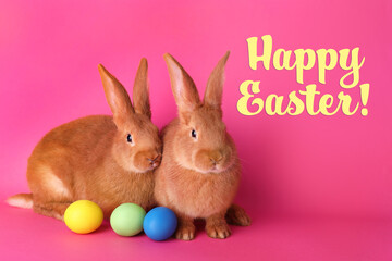 Happy Easter! Cute bunnies and dyed eggs on pink background
