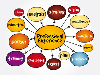 Professional experience mind map, business concept for presentations and reports