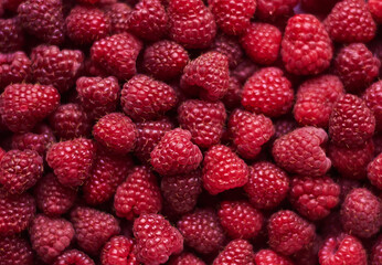 fresh raspberries. red raspberries. copy space. healthy food concept. berries