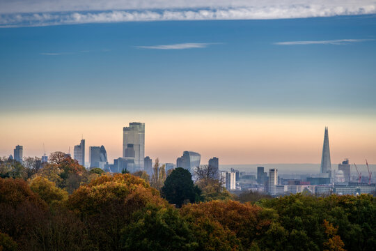 Woodland On Hampstead Heath In Autumn, And City Of London Financial District Skyline, Highgate, London