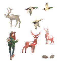 Hand drawn watercolor illustration. Conсept Art. Set of elements for design isolated on a white background. Deer. Flying duck. Hedgehog. Girl. Outdoor. Environment. Entourage.