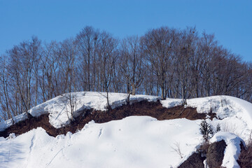 春の晴天の鳥海高原の雪解け