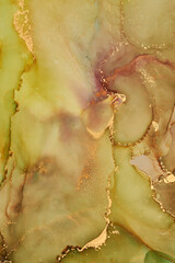 Alcohol ink art.Mixing liquid paints. Modern, abstract colorful background, wallpaper. Fluid marble art, texture,golden streaks, cracks.Translucent colors