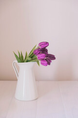 Fototapeta na wymiar Beautiful mono bouquet of purple tulips in full bloom in white vase on white background. Copy space for text. Spring still life.