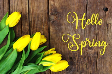 Hello Spring, Greeting Card text with beautiful yellow Spring Tulips on wooden rustic background . Yellow Tulips with text Hello Spring. Greeting cards, poster concept.