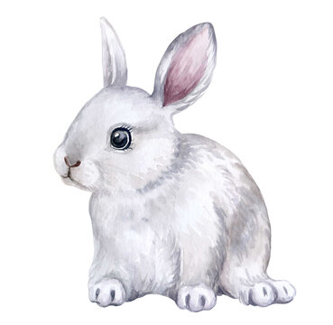 White Rabbit, bunny isolated on white background. Easter. Watercolor. Illustration. Hand drawing. Greeting card design. Clip art.