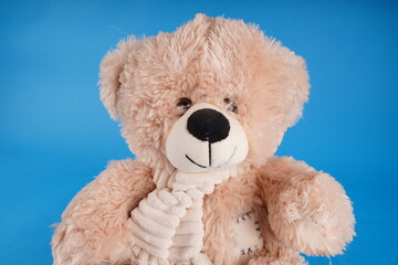 Close up of cute teddy bear. Soft plush toy on blue background.