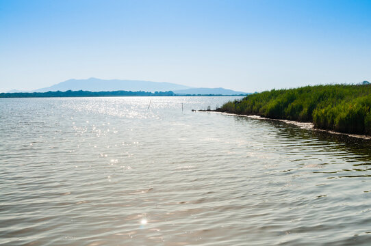 The WWF Oasis of Lake Burano, Capalbio, Grosseto Province, Tuscany