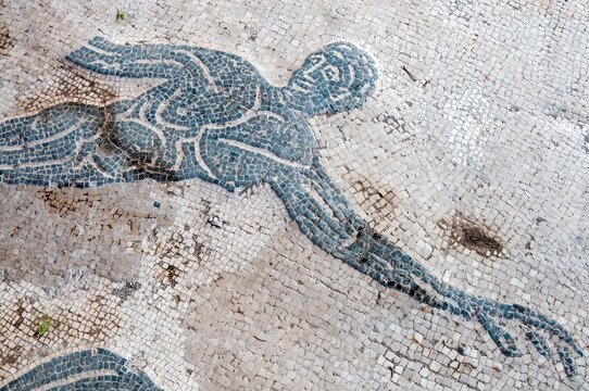 Frigidarium of Terme del Nuotatore, Mosaic of swimmer, Ostia Antica archaeological site, Ostia, Rome province