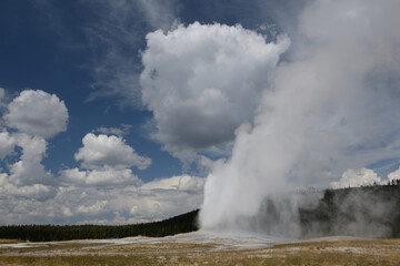 Fototapeta na wymiar Old Faithful geyser in Yellowstone National Park, Wyoming, USA