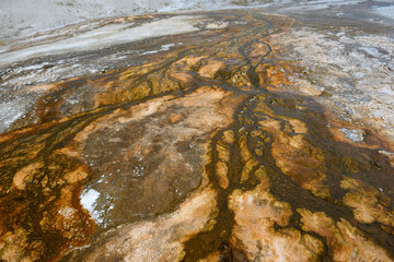 Colorful geothermal features at Old Faithful geothermal area in Yellowstone National Park, Wyoming, USA