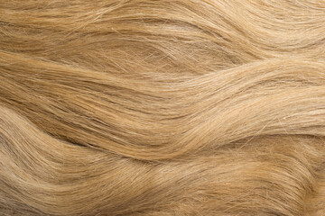 Natural dry flax fibers texture as background. Textured background with copy space for your message.