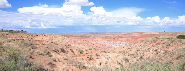 Petrified Forest National Park in Arizona, USA