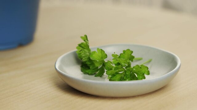 Freshly cut parsley laid on a small saucer on a wooden surface.