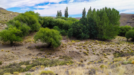 landscape with trees