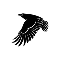 Raven bird vector illustration design