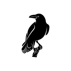 Raven bird vector illustration design