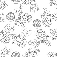 Tropical fruits line seamless pattern. Black and white botanical background. Vector illustration summer monoline