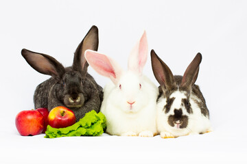 Three rabbits with apples isolated on a white background.