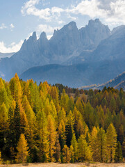 View towards Pale di San Martino, Focobon mountain range, in the Dolomites of Trentino, seen from alpe Fuciade in the southern Marmolada range. Italy.