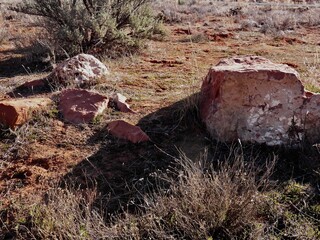 Sedona Arizona Rocks and Plants