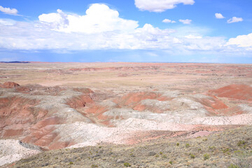 Petrified Forest National Park in Arizona, USA