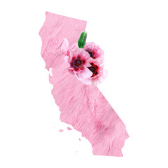 Political divisions of the US. Patriotic clip art in tender pink colors. State California