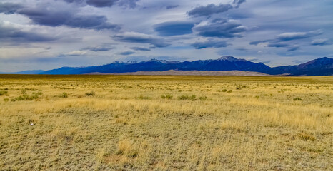 Yellow Prairie from Desert Plants, Great Sand Dunes National Park with mountains in the background, Colorado, US