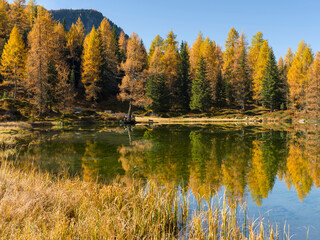 Lago San Pellegrino (Lech de San Pelegrin) during fall at Passo San Pellegrino in the Dolomites. Italy.