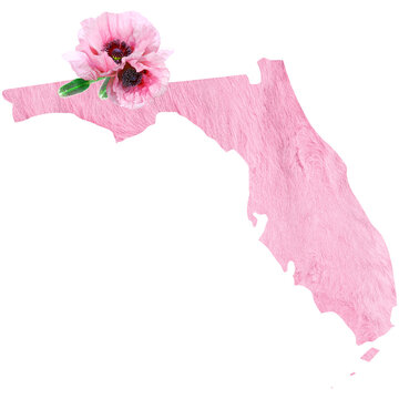 recommend clip art: Political divisions of the US. Patriotic clip art in tender pink colors. State Florida