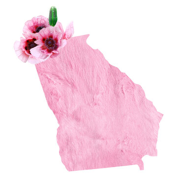 recommend clip art: Political divisions of the US. Patriotic clip art in tender pink colors. State Georgia