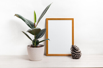 Poster with copy space. Home plant ficus in a pod in a Scandinavian-style interior. White, minimalism