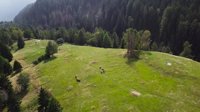 Aerial view of remote mountain village in Swiss Ticino
