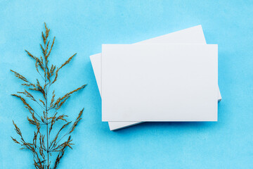 White blank cards and dry plant branches on a blue background. A gentle romantic blank for a postcard. Wedding invitation and copy space, top view.