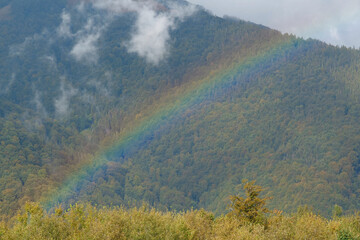 Yellow autumn trees, clouds and beautiful rainbow in mountains