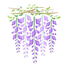 藤の花のカットイラスト