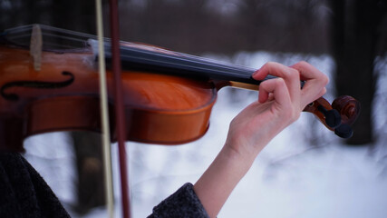 musician playing violin