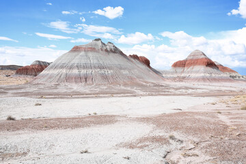 Petrified Forest National Park in Arizona, USA