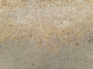 wet sand texture_1-2