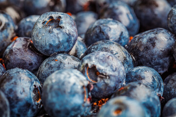 Fresh blueberry .  Blueberry berries close up texture
