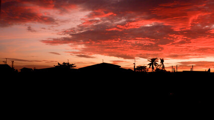 Naklejka premium Bloody Red Sunset Sky with Silhouette Background Wallpaper