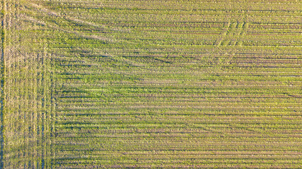 Arial view geometric shapes in the soil of farm fields, shot from above with drone. High quality photo